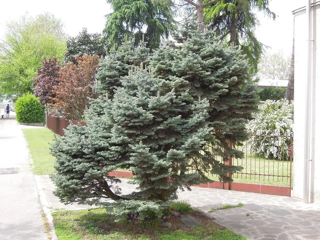 Residenza Sansovino Mestre Lejlighed
